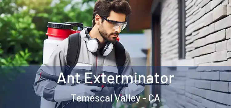 Ant Exterminator Temescal Valley - CA