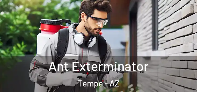  Ant Exterminator Tempe - AZ