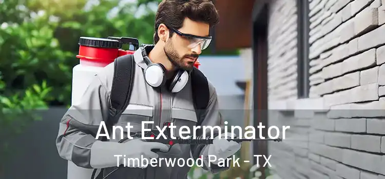 Ant Exterminator Timberwood Park - TX