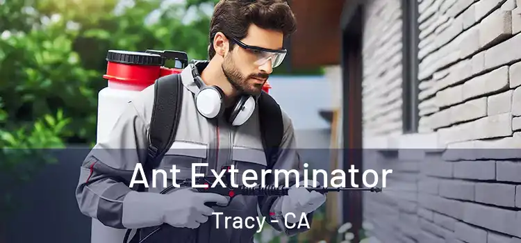 Ant Exterminator Tracy - CA
