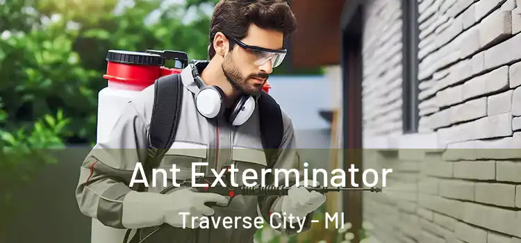  Ant Exterminator Traverse City - MI
