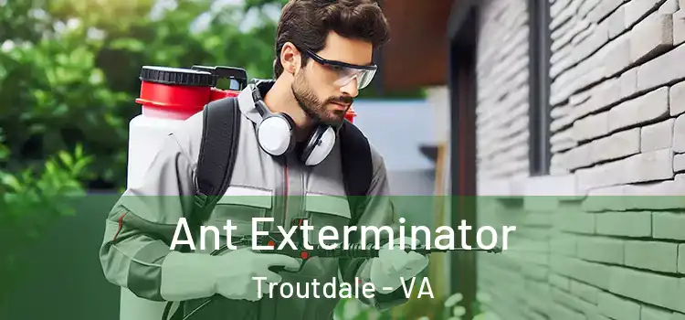 Ant Exterminator Troutdale - VA