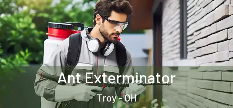 Ant Exterminator Troy - OH