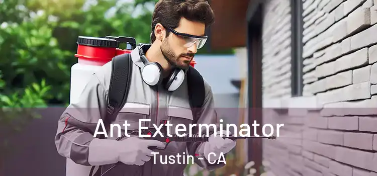 Ant Exterminator Tustin - CA