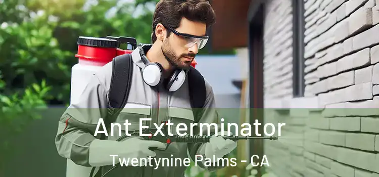  Ant Exterminator Twentynine Palms - CA