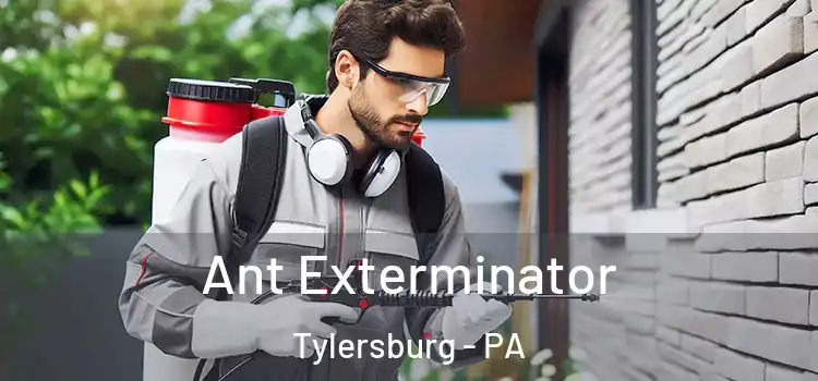 Ant Exterminator Tylersburg - PA