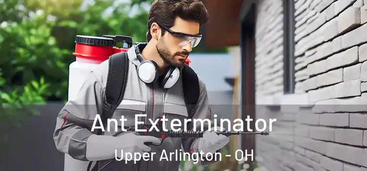 Ant Exterminator Upper Arlington - OH