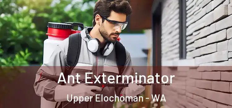  Ant Exterminator Upper Elochoman - WA
