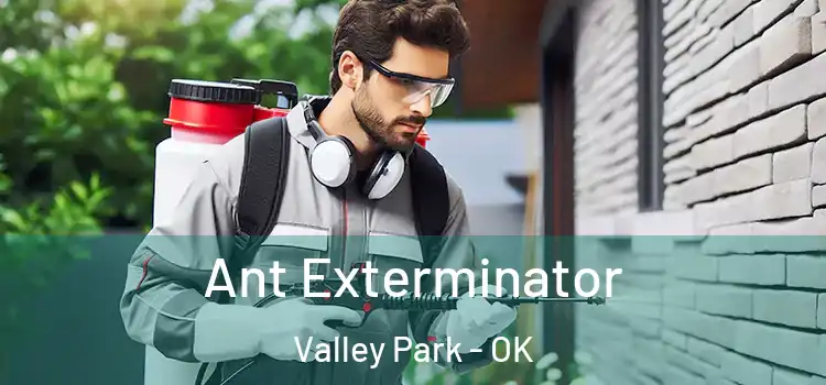  Ant Exterminator Valley Park - OK