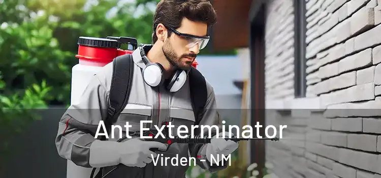 Ant Exterminator Virden - NM