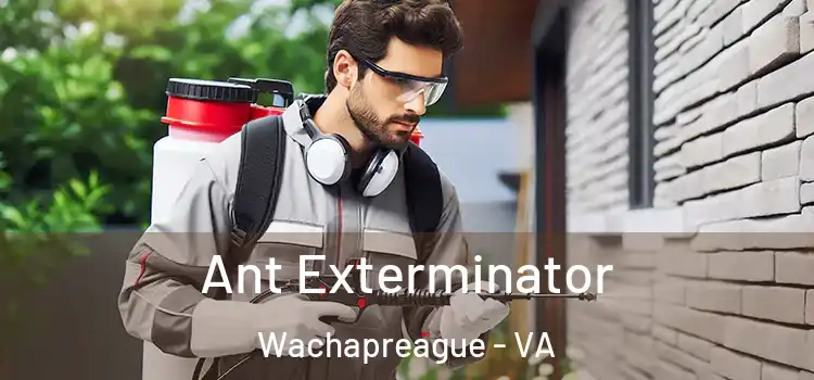 Ant Exterminator Wachapreague - VA