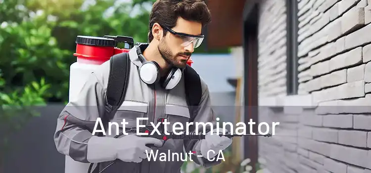 Ant Exterminator Walnut - CA