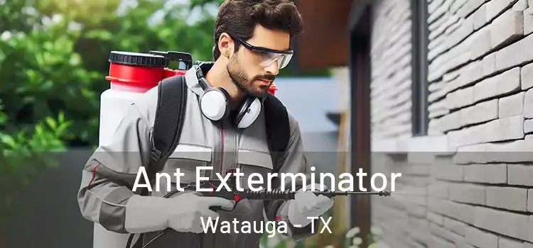 Ant Exterminator Watauga - TX
