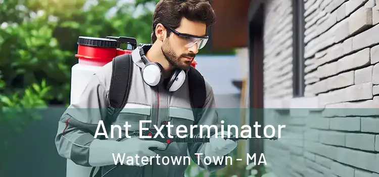  Ant Exterminator Watertown Town - MA