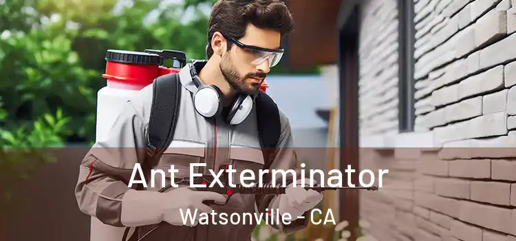  Ant Exterminator Watsonville - CA