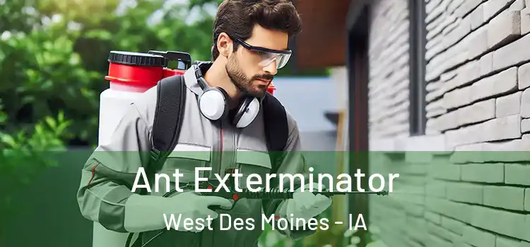  Ant Exterminator West Des Moines - IA