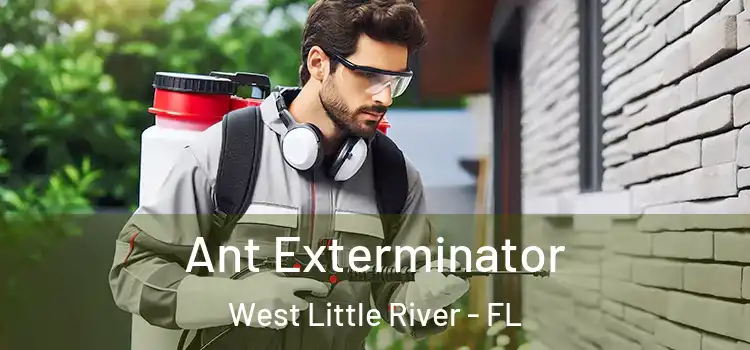  Ant Exterminator West Little River - FL