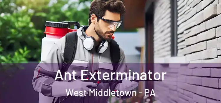 Ant Exterminator West Middletown - PA