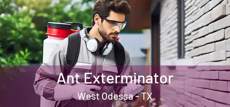  Ant Exterminator West Odessa - TX