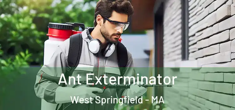  Ant Exterminator West Springfield - MA