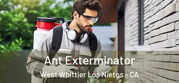 Ant Exterminator West Whittier Los Nietos - CA
