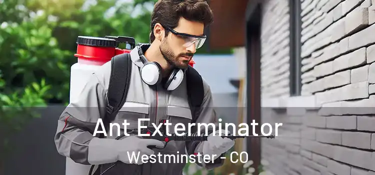 Ant Exterminator Westminster - CO