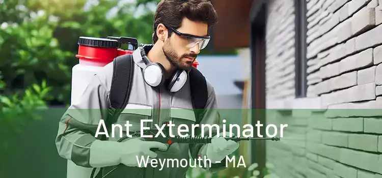  Ant Exterminator Weymouth - MA