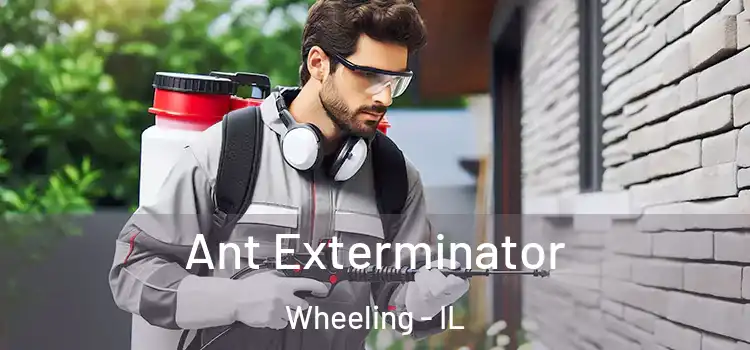  Ant Exterminator Wheeling - IL