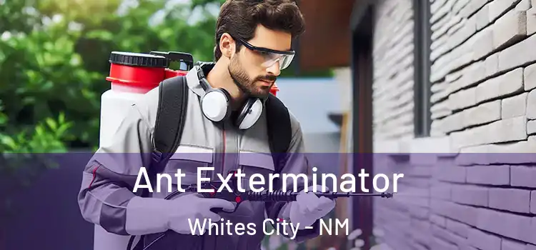 Ant Exterminator Whites City - NM