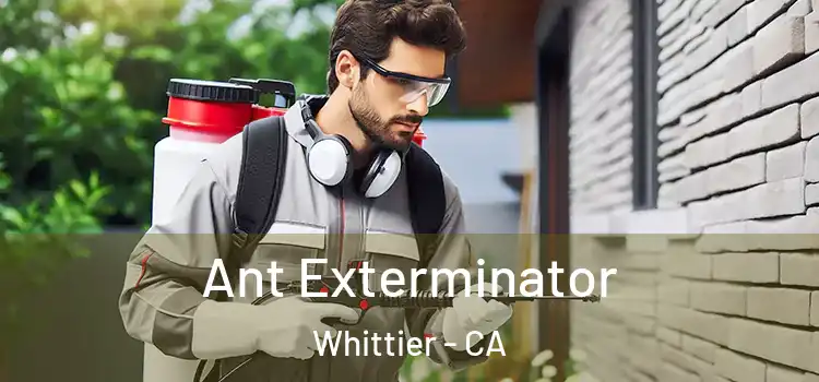 Ant Exterminator Whittier - CA