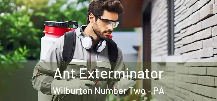  Ant Exterminator Wilburton Number Two - PA