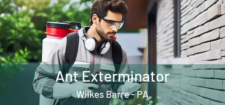 Ant Exterminator Wilkes Barre - PA