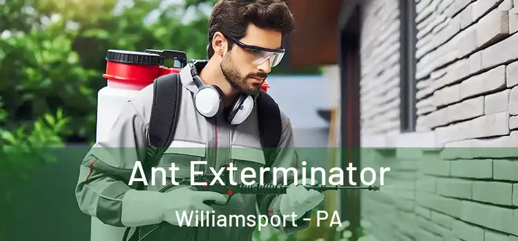 Ant Exterminator Williamsport - PA