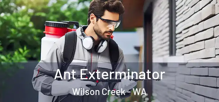  Ant Exterminator Wilson Creek - WA