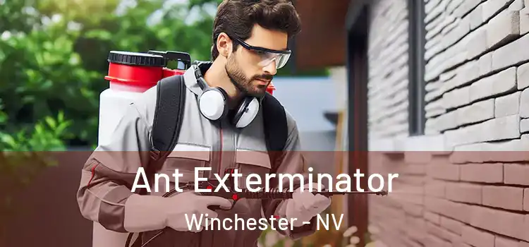  Ant Exterminator Winchester - NV