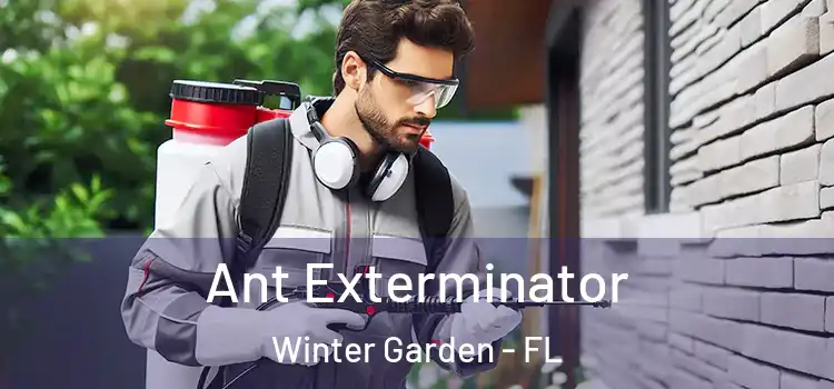Ant Exterminator Winter Garden - FL