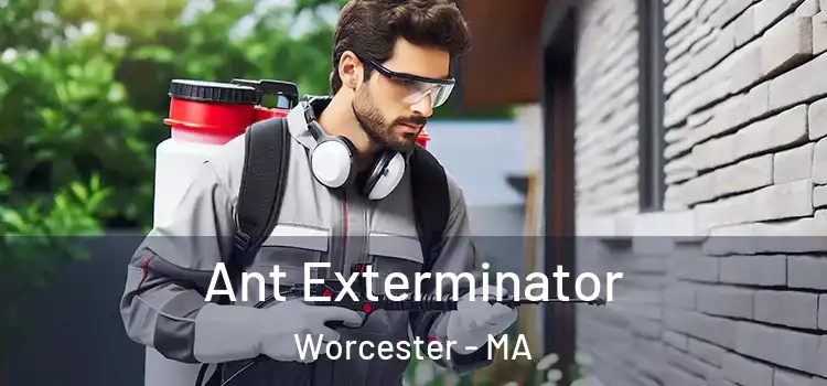  Ant Exterminator Worcester - MA
