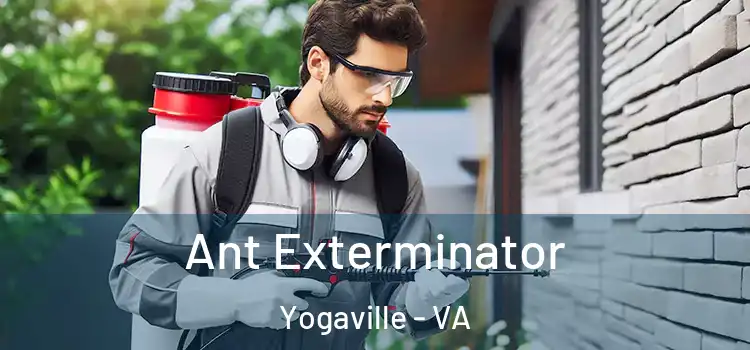 Ant Exterminator Yogaville - VA