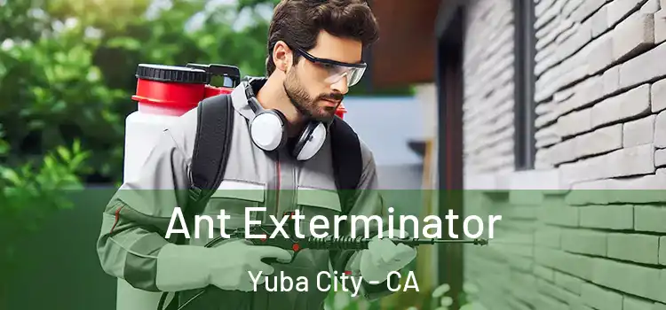 Ant Exterminator Yuba City - CA
