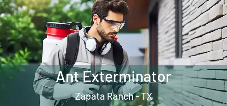  Ant Exterminator Zapata Ranch - TX