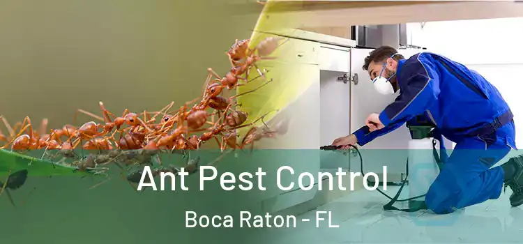 Ant Pest Control Boca Raton - FL