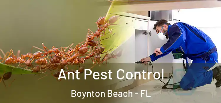 Ant Pest Control Boynton Beach - FL