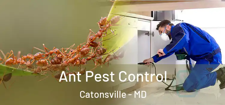  Ant Pest Control Catonsville - MD