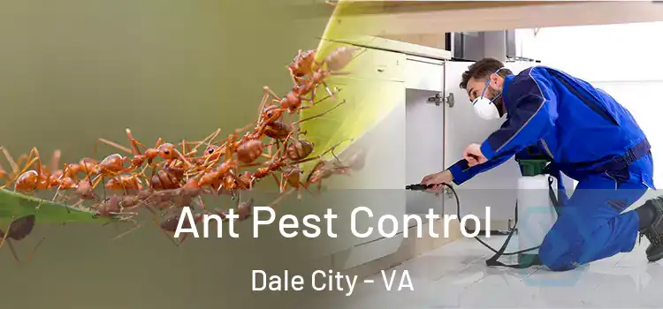  Ant Pest Control Dale City - VA