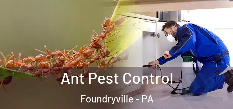  Ant Pest Control Foundryville - PA