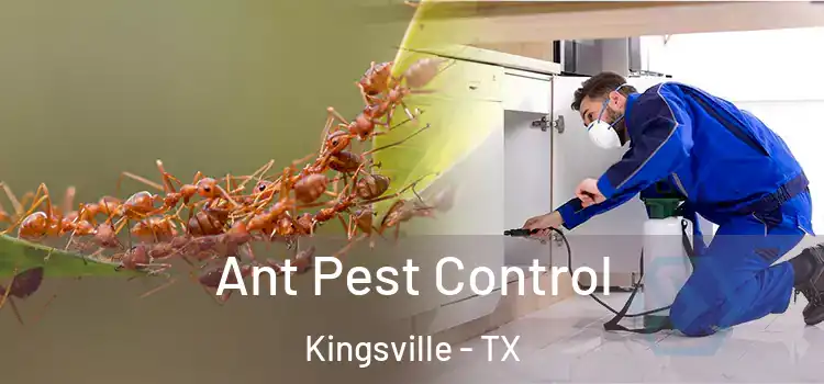  Ant Pest Control Kingsville - TX