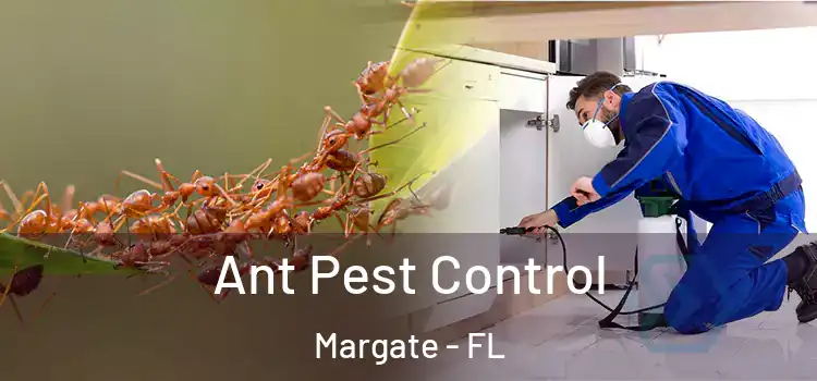 Ant Pest Control Margate - FL