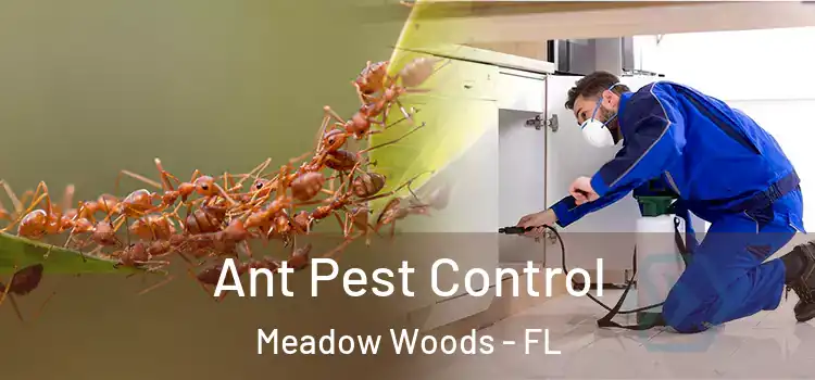 Ant Pest Control Meadow Woods - FL