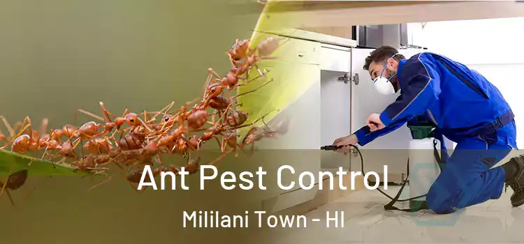  Ant Pest Control Mililani Town - HI