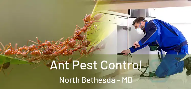  Ant Pest Control North Bethesda - MD